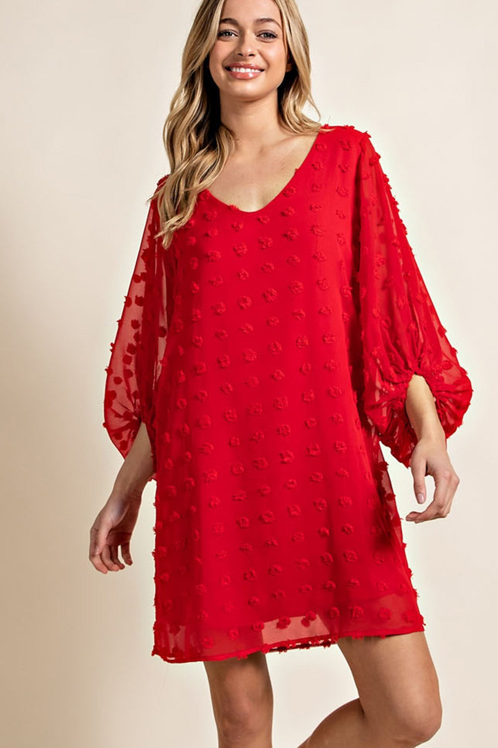 Red Swiss Dot Dress Plus Size