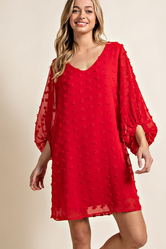 Red Swiss Dot Dress Plus Size