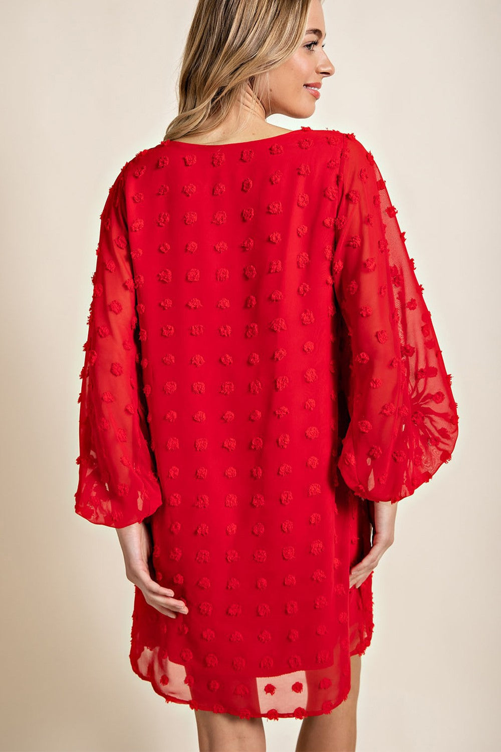 Red Swiss Dot Dress Plus Size