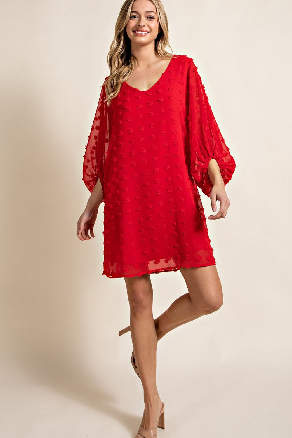 Red Swiss Dot Dress Plus Size