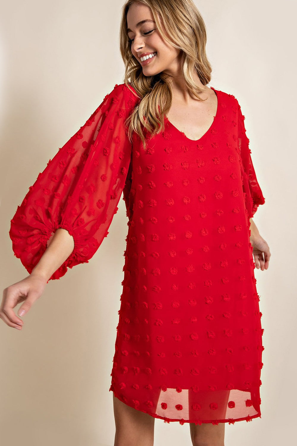 Red Swiss Dot Dress Plus Size